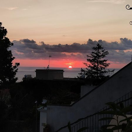 Ipazia Capri Bed & Breakfast Anacapri  Exterior photo